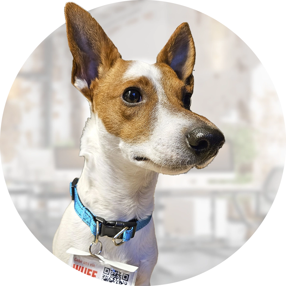 Walter-Fach-Kraft Berlin | Bürohund Watson